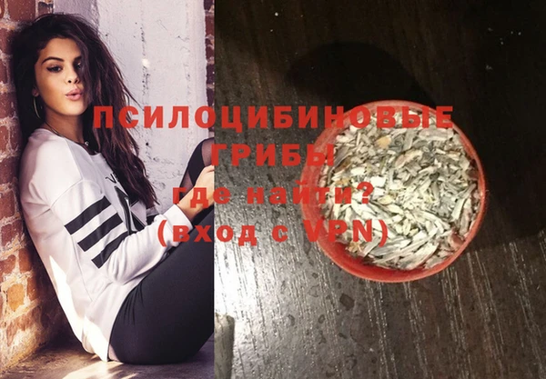 бошки Верхний Тагил