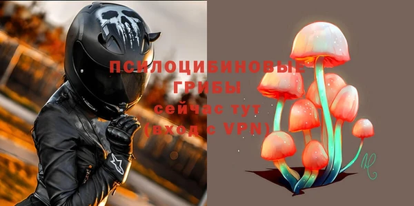 спиды Бугульма