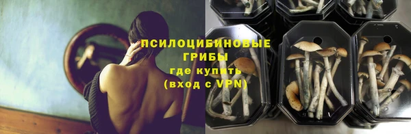бошки Бронницы