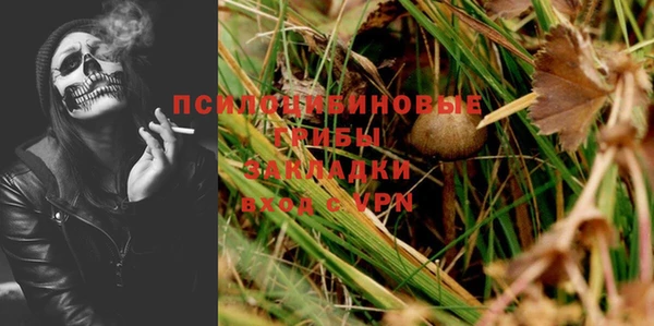 мдма Бородино