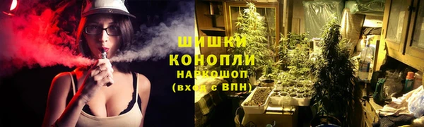 бошки Бронницы